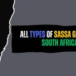 All Types of SASSA Grants in South Africa All Types of SASSA Grants in South Africa